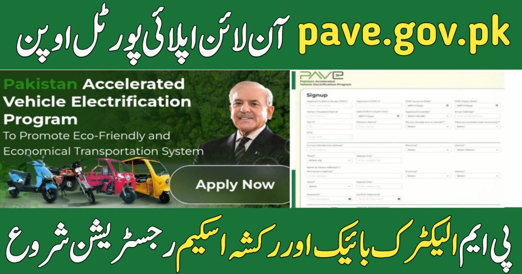 pave.gov.pk Online Apply
