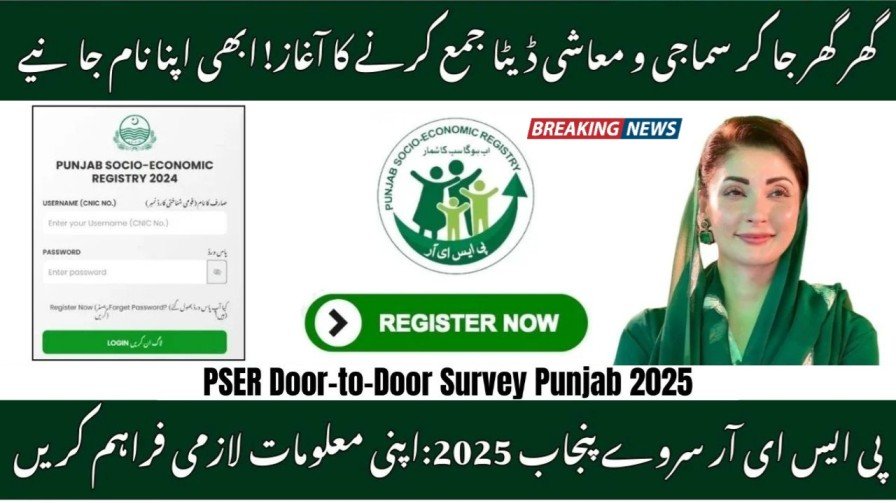 PSER Survey 2025 Punjab