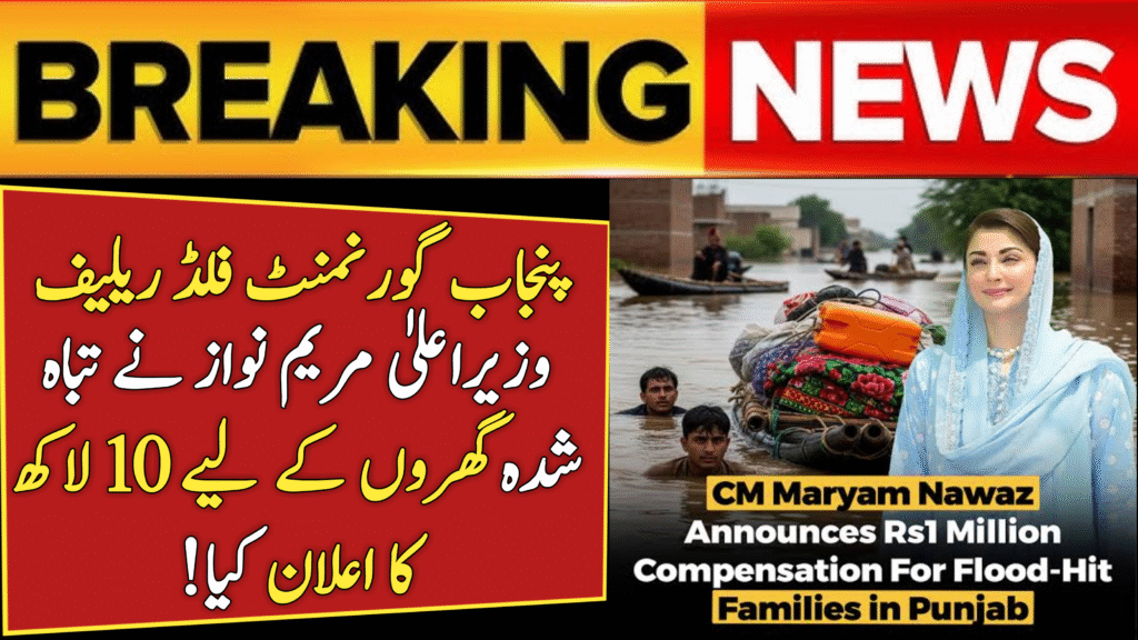 Punjab Govt Flood Relief 2025