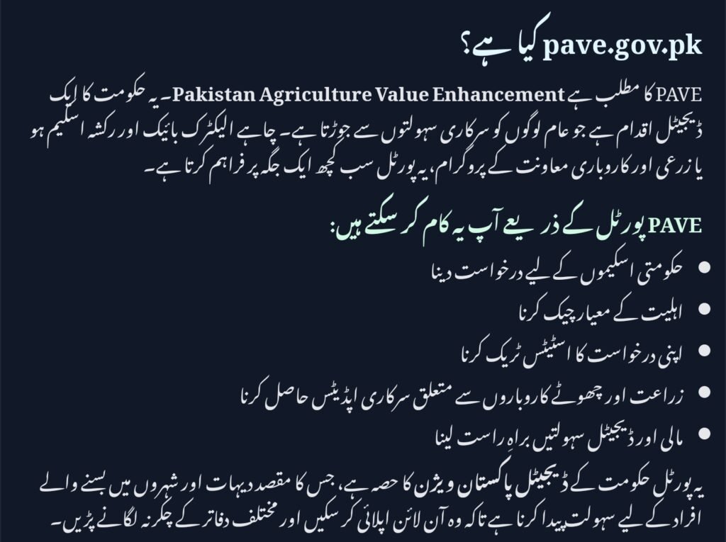 pave.gov.pk Online Apply