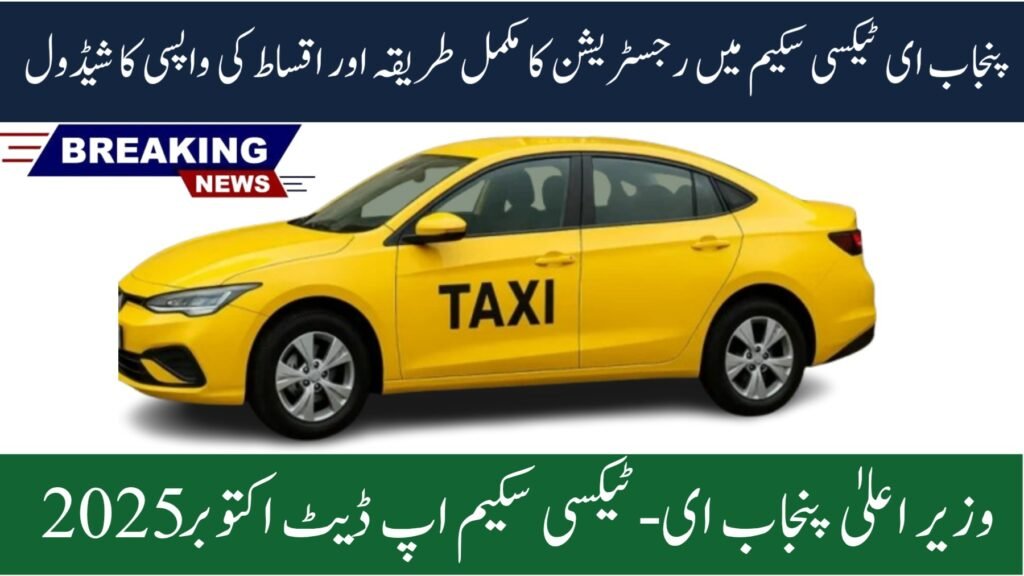 E-Taxi Program 2025 Repayment Plan