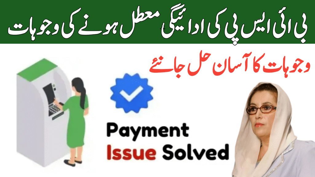 BISP 8171 Payment Suspended