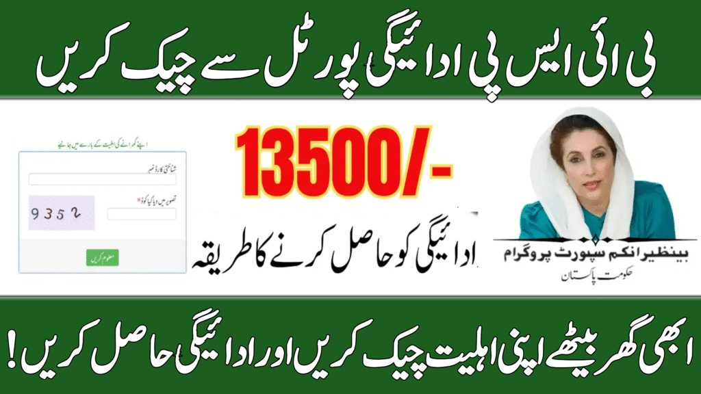 BISP 8171 Portal Payment