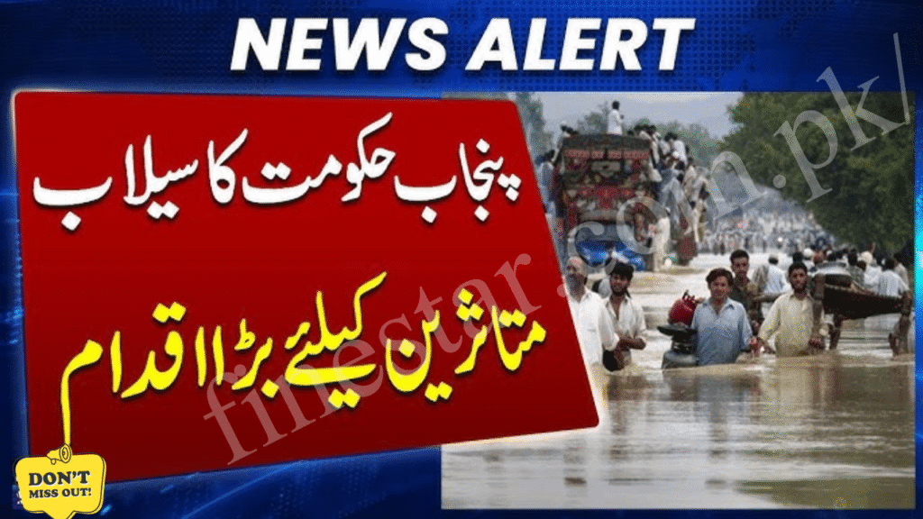 Punjab Flood Relief Survey