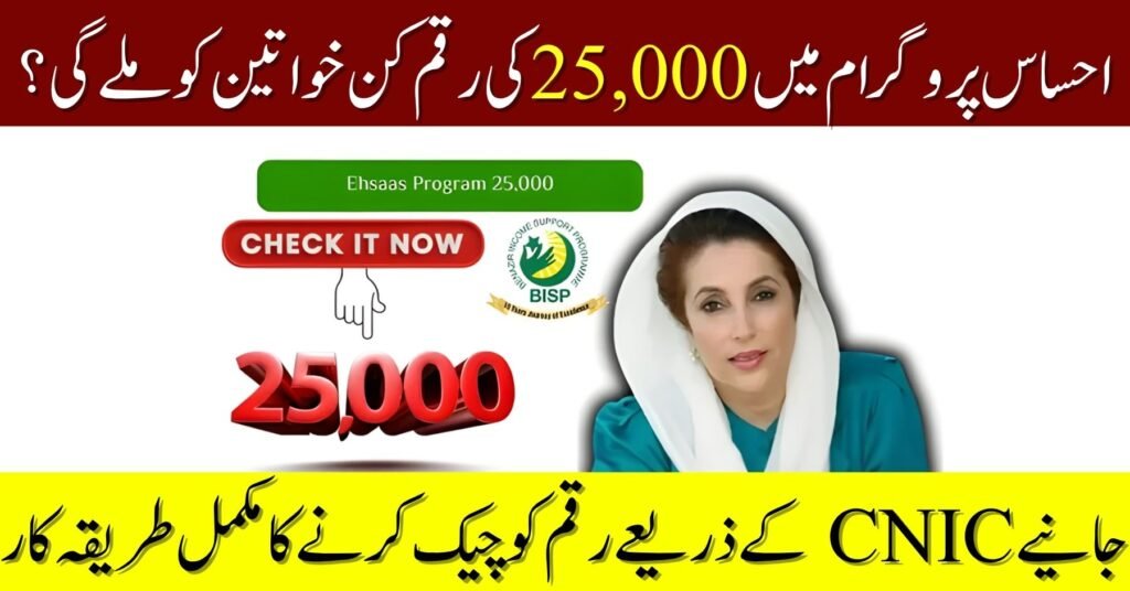 Ehsaas Program 8171 25000 CNIC Check
